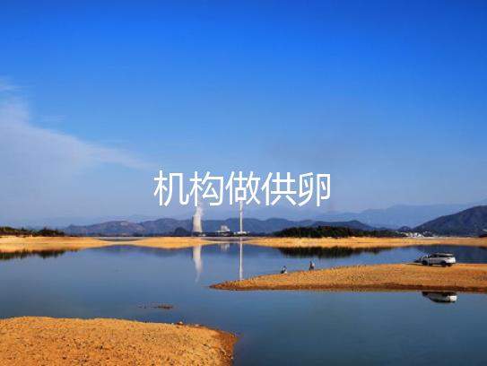 机构做供卵